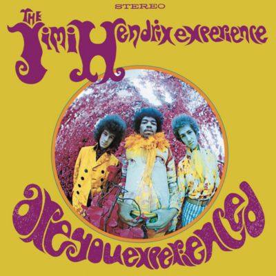 Jimi Hendrix : Are You Experienced Vinyl Record