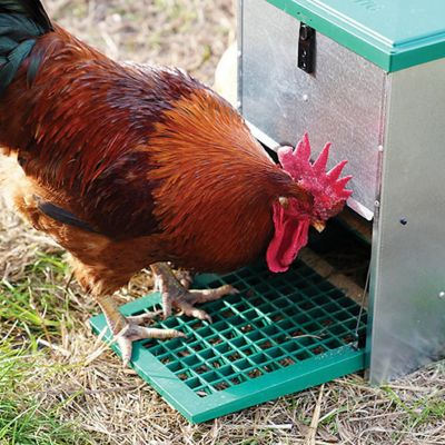 Image showing  Feedomatic Automatic Treadle Feeder 17 lb.