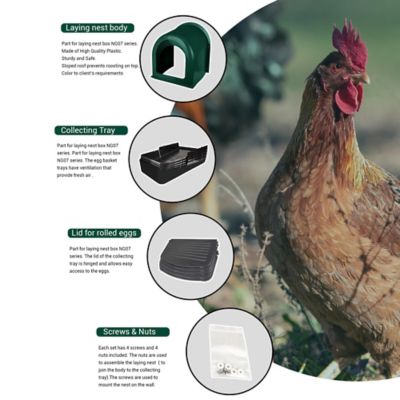 Image showing  Egg House Plastic Roll-Out Nesting Box for Poultry for up to 5 Birds