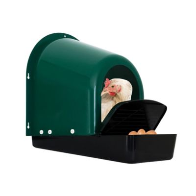 Image showing 7 th Hatching Time Egg House Plastic Roll-Out Nesting Box for Poultry for up to 5 Birds