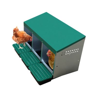 Image showing 5 th Hatching Time Egg House Galvanized Roll-Out Nesting Box with Plastic Tray for up to 30 Birds