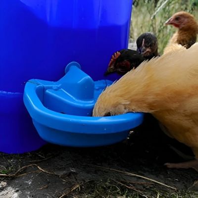 Image showing  Maxicup Automatic Drinker - Poultry Waterer