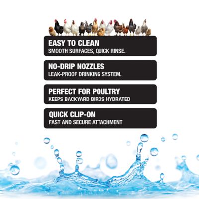 Image showing  1L Poultry Drinker with Cup