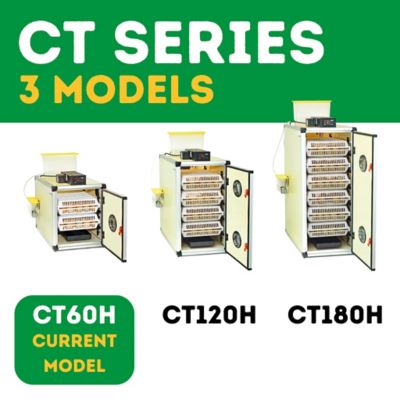 Image showing 9 th Hatching Time CT60 H - Egg Incubator - Hatcher Only