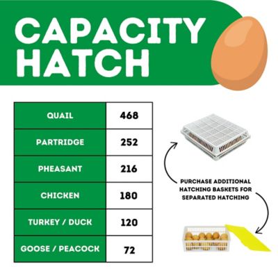 Image showing  CT180 H - Egg Incubator - Hatcher Only