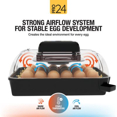 Image showing  Pro24 Table Top Automatic Egg Incubator