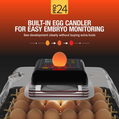 Image showing  Pro24 Table Top Automatic Egg Incubator