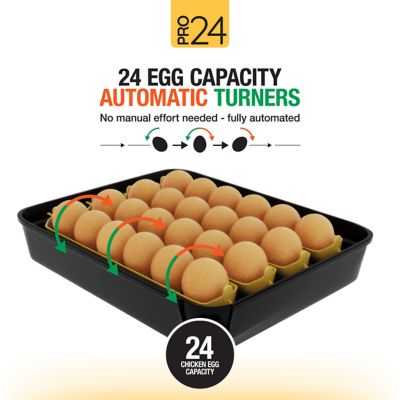 Image showing  Pro24 Table Top Automatic Egg Incubator