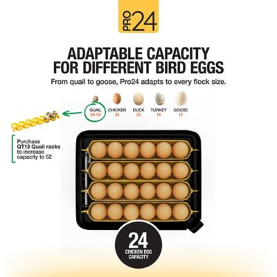 Image showing 8 th Hatching Time Pro24 Table Top Automatic Egg Incubator