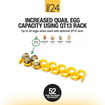 Image showing 9 th Hatching Time Pro24 Table Top Automatic Egg Incubator