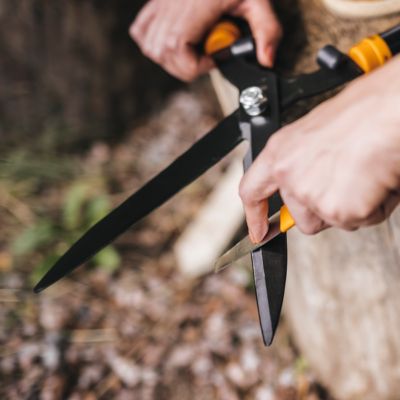 Image showing 5 th Fiskars Blade Sharpener