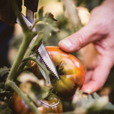 Image showing  Vegetable Shears