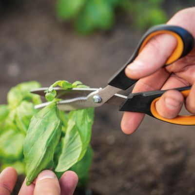 Image showing 5 th Fiskars Vegetable Shears