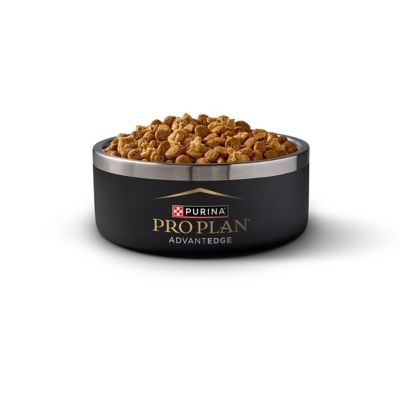 Image showing  AdvantEDGE Senior Support+ Adult Chicken & Rice