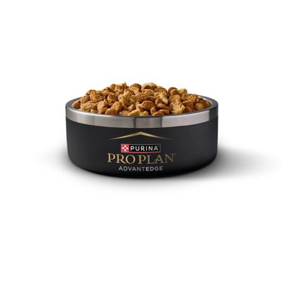 Image showing  AdvantEDGE Senior Support+ Adult Small Breed Chicken & Rice