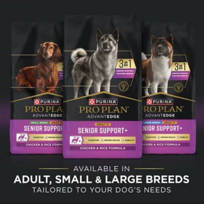 Image showing  AdvantEDGE Small Breed Senior Support+ Shredded Blend Chicken and Rice Formula Dry Dog Food, 12 lb. Bag