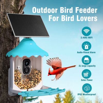 Image showing  Bird Feeder WiFi Battery Camera