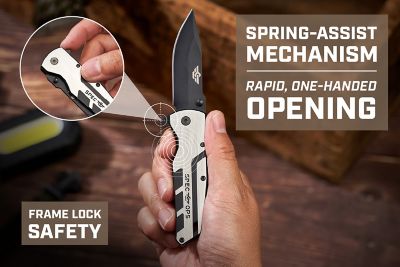 Image showing  Knife, Everyday Carry, Spring Assisted, D2 Steel, 2.8 Inch