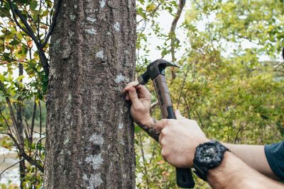 Image showing 6 th Spec Ops Hammer, 16 oz. Fiberglass, Smooth Face