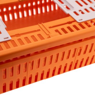 Image showing  Transport Box for Quail/Pigeons, Orange