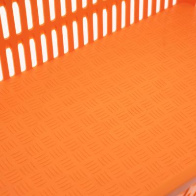 Image showing  Transport Box for Quail/Pigeons, Orange