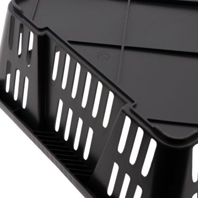 Image showing  Transport Box for Quail/Pigeons, Black