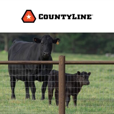 Image showing  100 ft. x 72 in. Galvanized Horse Fence