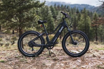 Image showing 5 th Dirwin Pioneer Lite Fat-Tire E-Bike (Matte Black)