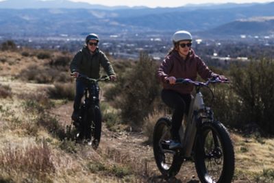 Image showing 8 th Dirwin Pioneer Lite Fat-Tire E-Bike (Matte Black)