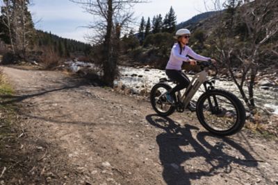 Image showing 6 th Dirwin Pioneer Lite Fat-Tire E-Bike (Tundra Grey)