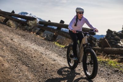 Image showing 7 th Dirwin Pioneer Lite Fat-Tire E-Bike (Tundra Grey)