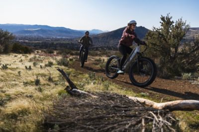 Image showing 9 th Dirwin Pioneer Lite Fat-Tire E-Bike (Tundra Grey)