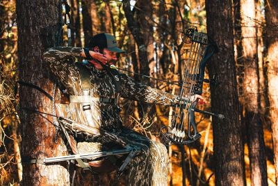 Image showing 8 th Summit Dual Threat PRO SD Climbing Treestand