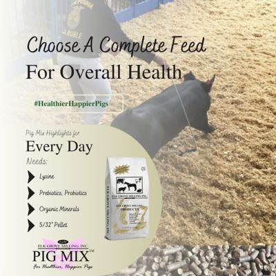 Image showing  EGM Pig Mix