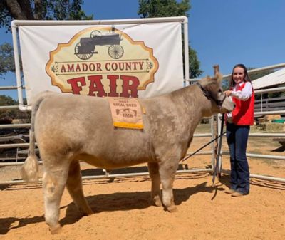 Image showing  EGM Beef Mix