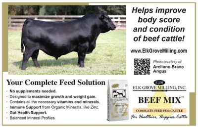 Image showing  EGM Beef Mix