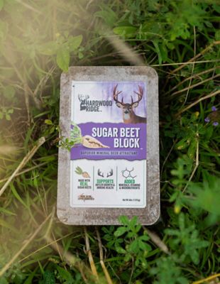 Image showing  Hardwood Ridge 4 lb. Sugar Beet Block