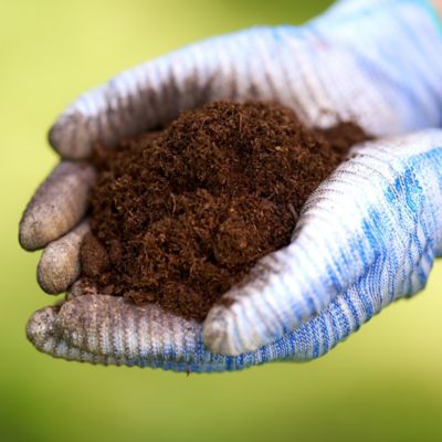 Image showing  Enriched Canadian Sphagnum Peat Moss, Loose Fill