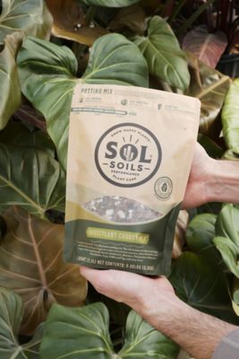 Image showing  Houseplant Chunky Mix, 2 qt.