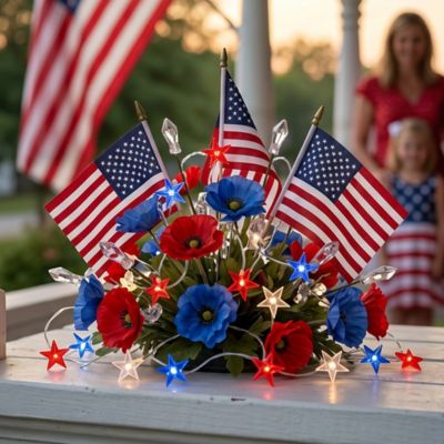 Image showing  Patriotic Star String Light