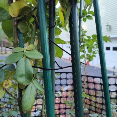 Image showing 5 th The Harvest Company 4 ft Coated Steel Garden Stakes, 5/16 in. Diameter, 20 pk.