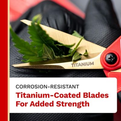 Image showing  6 in. Titanium Straight Blade Pruner, Premium Quality with Ambidextrous Anti-Slip Soft-Gel Handles, 12 pk.