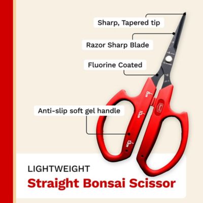 Image showing  6.3 in Fluorine Coated Japanese Stainless Steel Straight Blade Bonsai Shear, Ambidextrous Handles, 12 pk.
