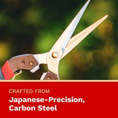 Image showing  7.9 in Hardchrome Plated Japanese Carbon Steel Straight Blade Harvesting Shear, Non-Slip Handles, 12 pk.