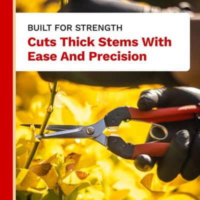 Image showing  7.9 in Hardchrome Plated Japanese Carbon Steel Straight Blade Harvesting Shear, Non-Slip Handles, 12 pk.