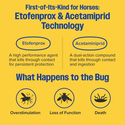 Image showing  Endure Gold Killer Fly Spray Gallon