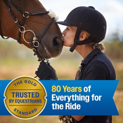 Image showing 7 th Farnam Endure Gold Killer Fly Spray 32 oz.