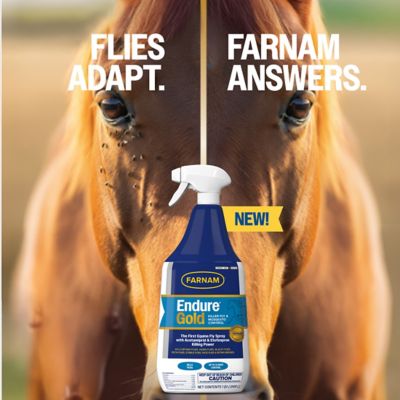 Image showing 8 th Farnam Endure Gold Killer Fly Spray 32 oz.