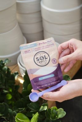 Image showing  Sol Biotics Repot Recovery