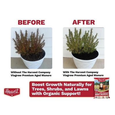 Image showing 6 th The Harvest Company Viagrow 40 lb. 1.5 cu. ft. Organic Cow Manure Soil Amendment for Lawn and Garden, 1 pk.